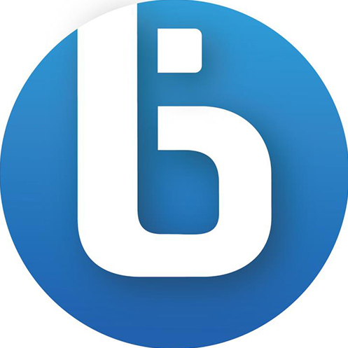 BF|比特文件|Bitcoin File