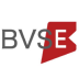 BVSE|品值链
