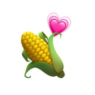 CORN|玉米