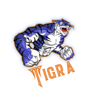 TIGC|Tigra Coin